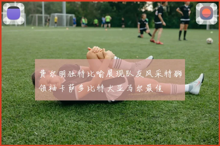 费尔明独特比喻展现队友风采特狮领袖卡萨多比特犬亚马尔最佳