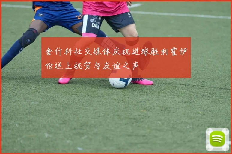 舍什科社交媒体庆祝进球胜利霍伊伦送上祝贺与友谊之声