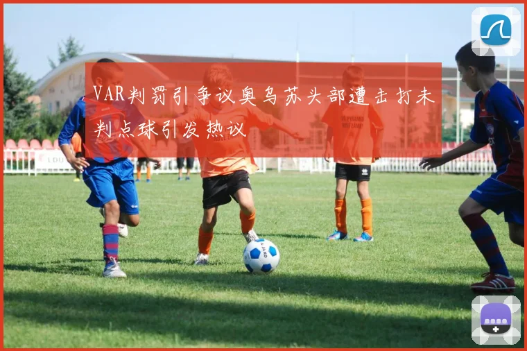 VAR判罚引争议奥乌苏头部遭击打未判点球引发热议