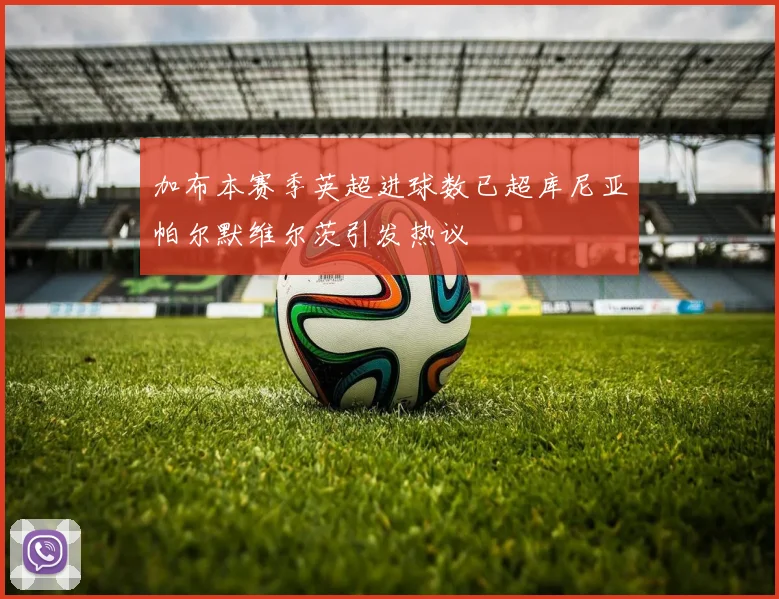 加布本赛季英超进球数已超库尼亚帕尔默维尔茨引发热议