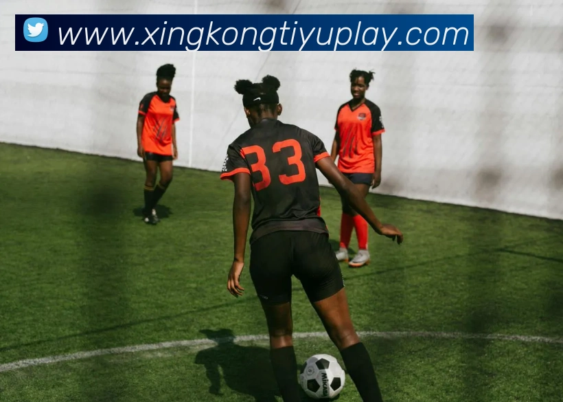 星空体育平台生态图